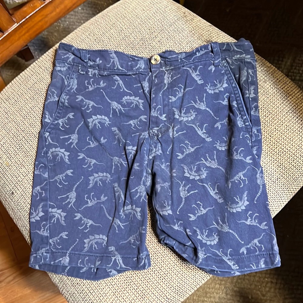 Craft flow dinosaur shorts